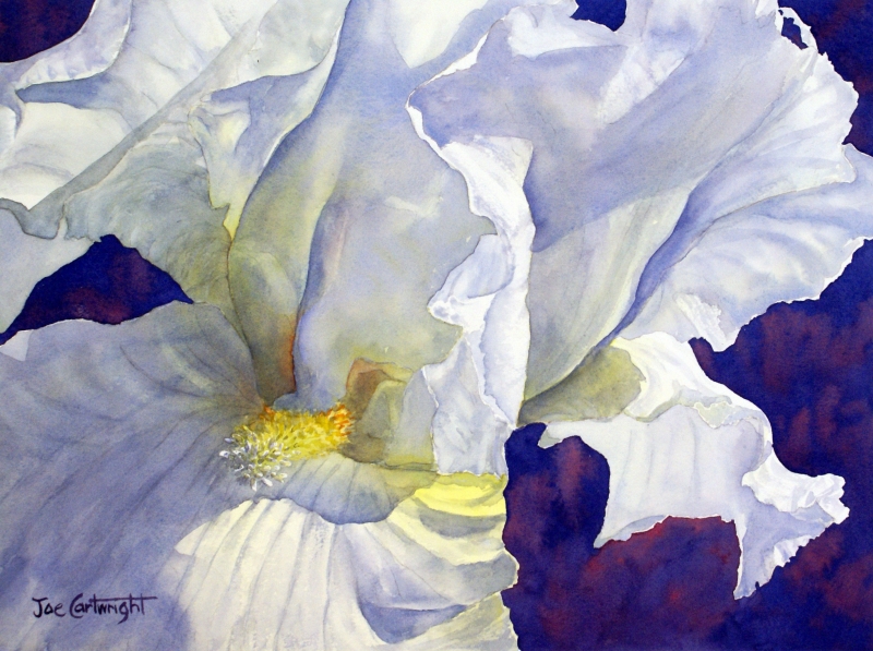 Flowers | Joe Cartwright watercolour artist